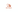 Fur Lover Logo - Modern